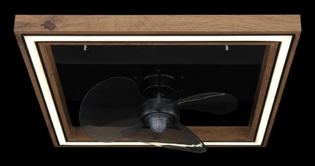 Globo Celinata LED plafondventilator met verlichting 43 cm