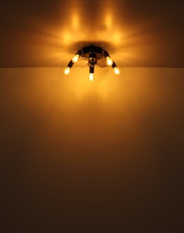 Globo Alisha plafondventilator met verlichting zwart 43 cm licht