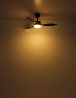 Globo Blackwell plafondventilator zwart met verlichting 106 cm