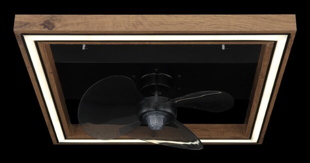 Globo Celinata LED plafondventilator met verlichting 43 cm