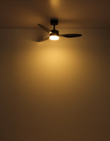 Globo Blackwell plafondventilator zwart met verlichting 106 cm