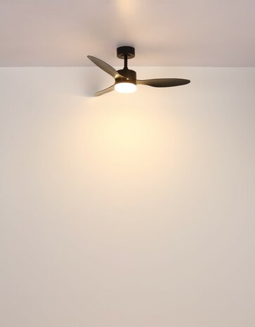 Globo Blackwell plafondventilator zwart met verlichting 106 cm